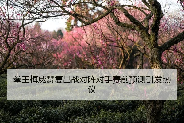 拳王梅威瑟复出战对阵对手赛前预测引发热议